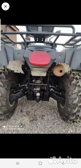 Стелс леопард