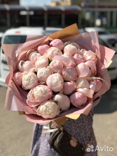 Пионы Букеты 51 101 201 Розы Доставка