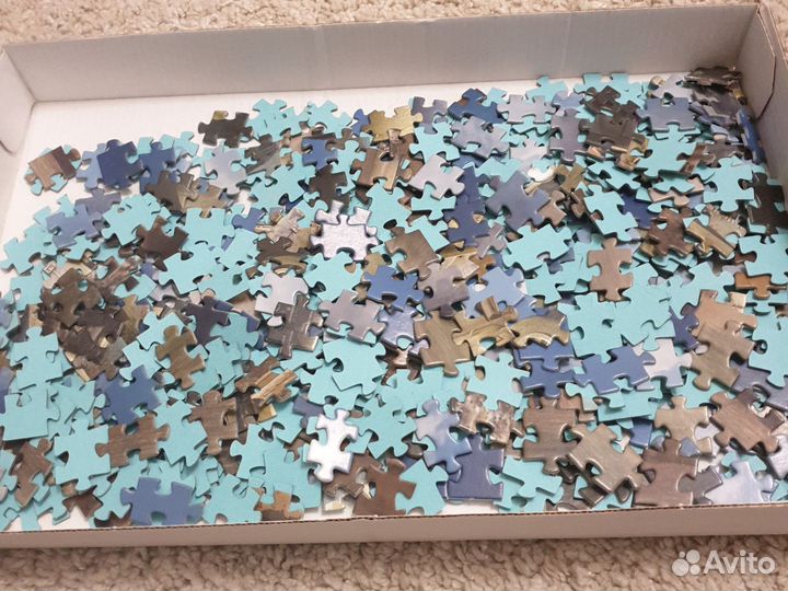 Пазал worldoftanks