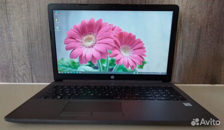 Игровой Ноутбук Hp Core i5/12 GB/ HDD 1000 GB, SSD