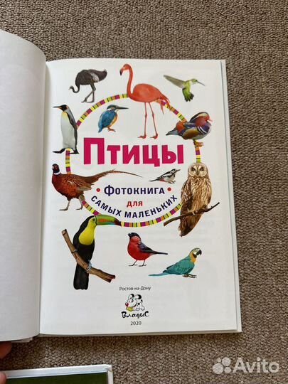 Книги Энциклопедия для детей