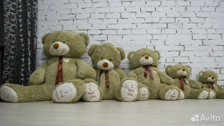 Большие Медведи, Плюшевые Мишки и Панды