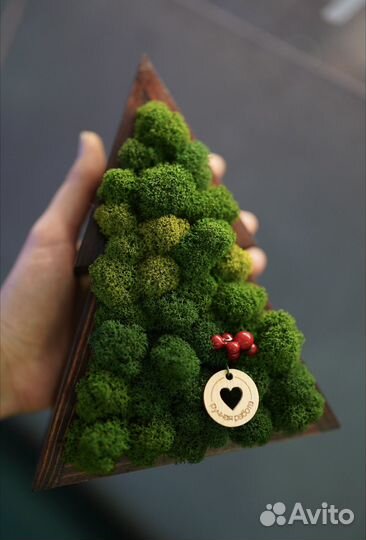 Новогодние елки,стабилизированный мох,подарок