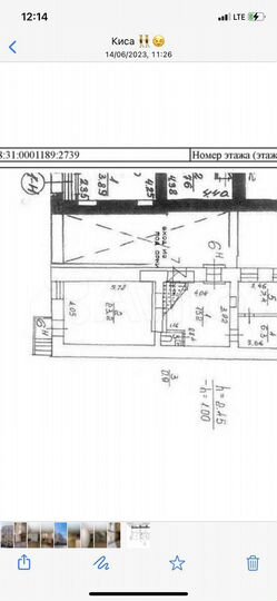 Торговая площадь, 68 м²