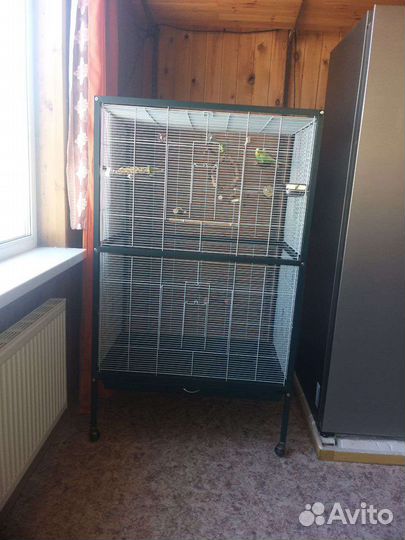 Клетка-вольер для птиц Германия