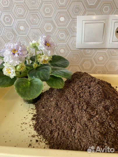 Грунт для фиалок