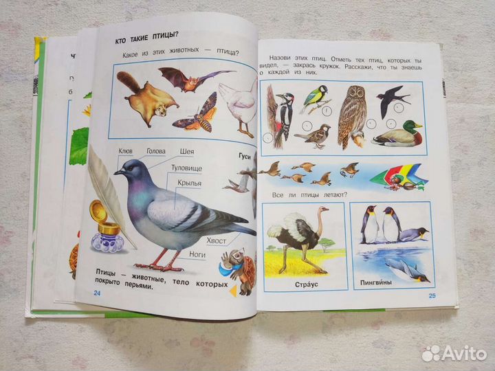 Учебники, раб.тетрадь