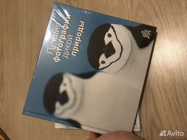 Лучшие фотографии дикой природы фотоальбом