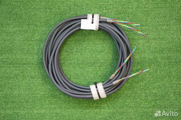 Pioneer OFC Star Quad, Japan