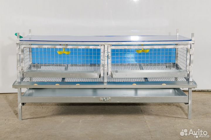 Клетки для перепелок от производителя