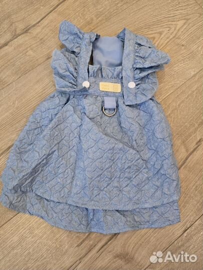 Товары для кошек и собак: игрушки,шлейки