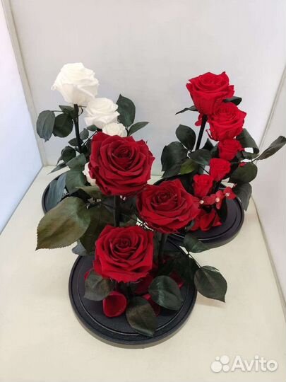 Роза в колбе оптом