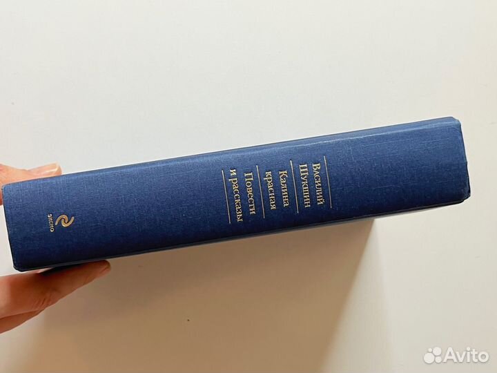 Книга Василий Шукшин