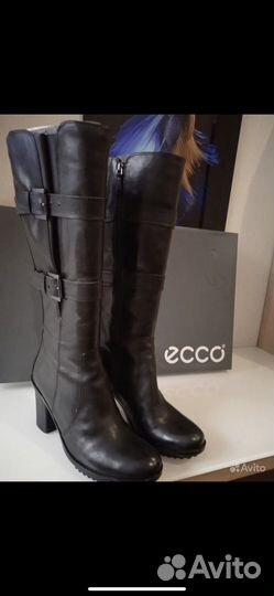 Сапоги ecco