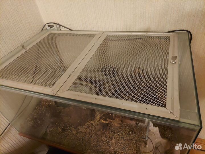 Террариум для рептилий