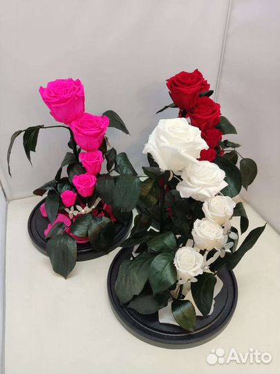 Подарок. Цветы оптом