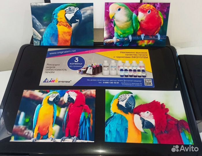 Мфу Epson XP440 с снпч и WiFi