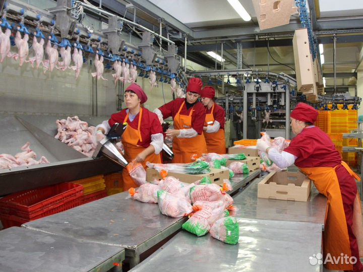 Вахта в Крыму/Питание/Проживание