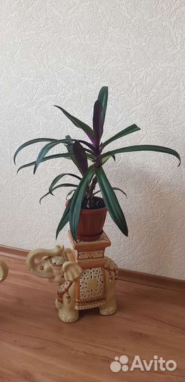 Слоны.Подставки для цветов