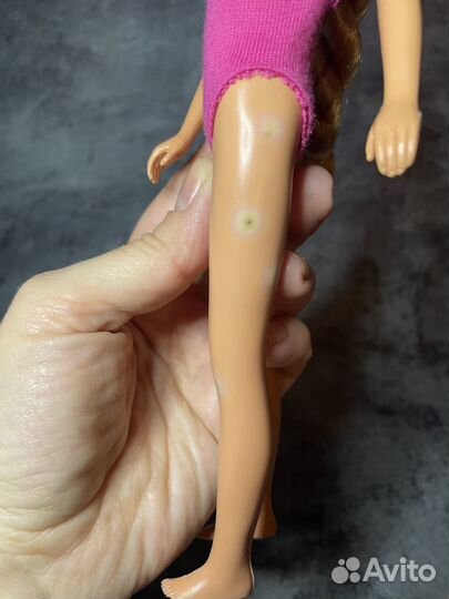 Skipper tropical 1985