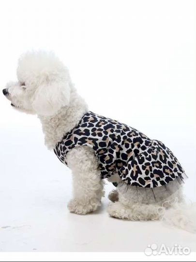 Платье для собак