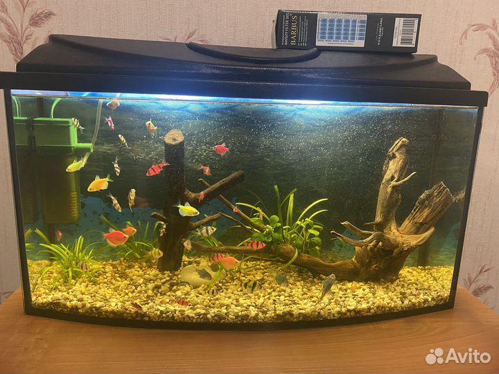 Акавариум