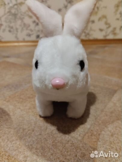 Кролик бегущий