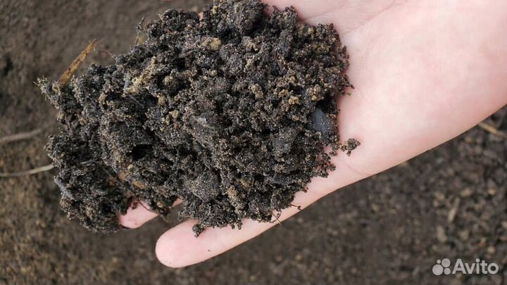 Земля садовая