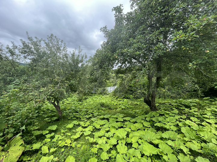 Участок 25 сот. (ИЖС)