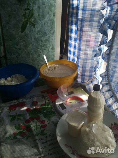 Молоко, сметана, творог. Молоко оптом