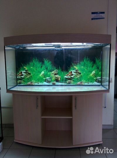 Аквариум 480 полукруглый, биофильтр, свет, тумба