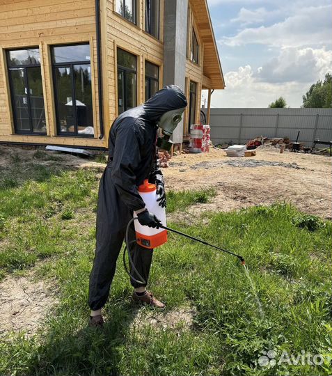 Дезинфекция