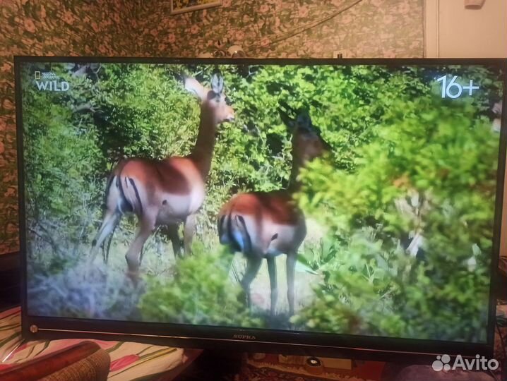 Телевизор Supra STV-LC55ST4000U 55 дюймов Smart TV