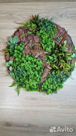 Картина, фито панно, картина из мха, фитостена