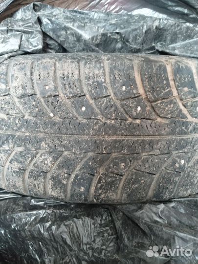 Gislaved Nord Frost 5 185/65 R15