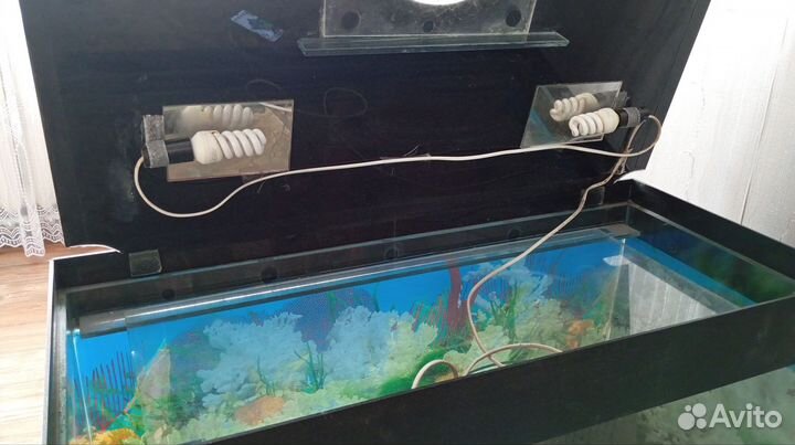 Аквариум