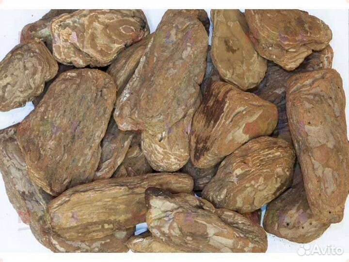 Галтованная кора сосны