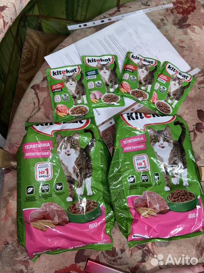 Корм для кошек