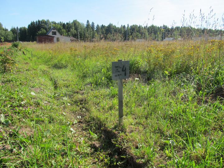 Участок 10 сот. (СНТ, ДНП)