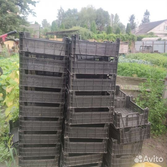 Ящик пластиковый