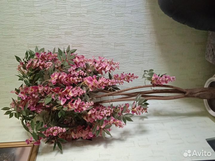 Дерево сакура