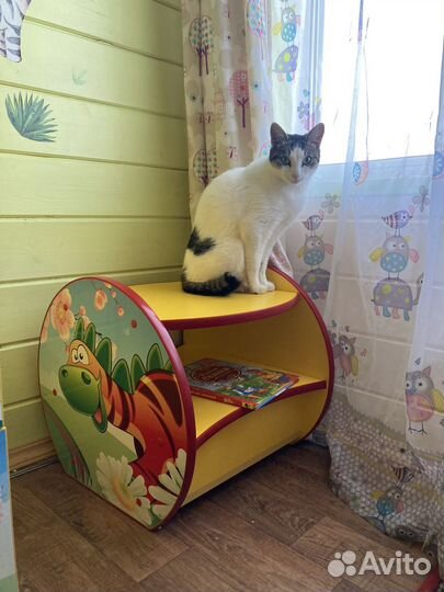 Передержка животных