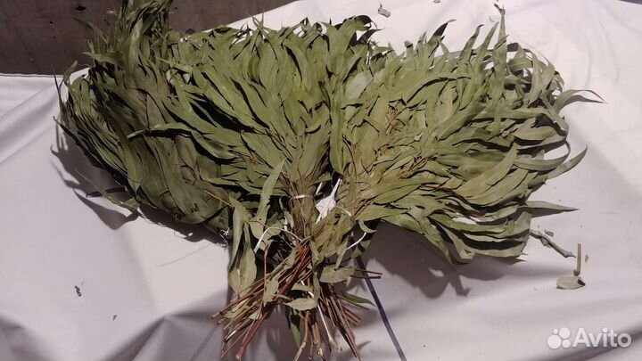 Эвкалиптовый веник в Омске, продажа от 1шт
