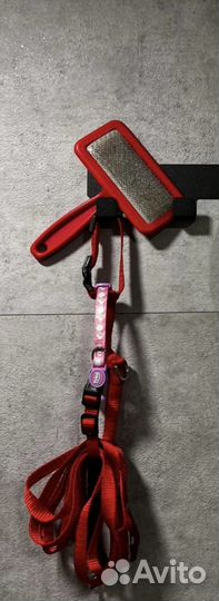 Одежда для собак