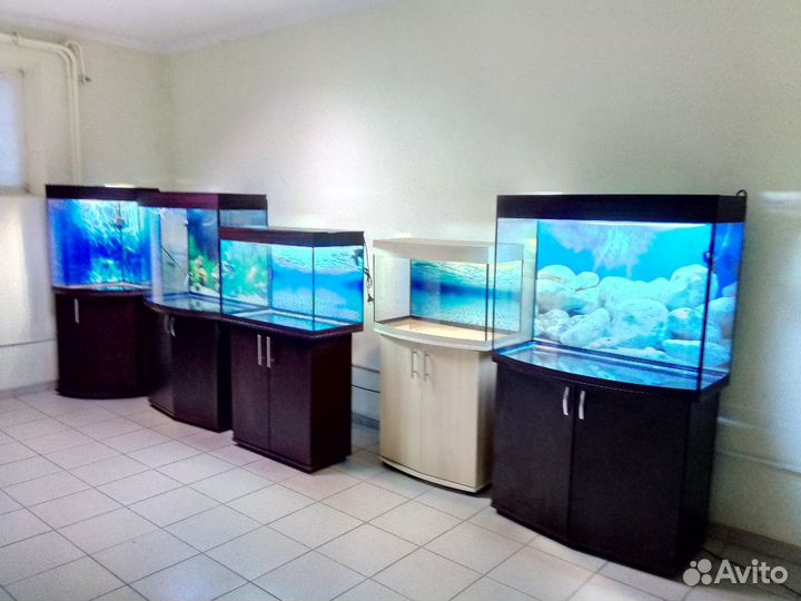 Аквариум 130 свет крышка биофильтр фон тумба