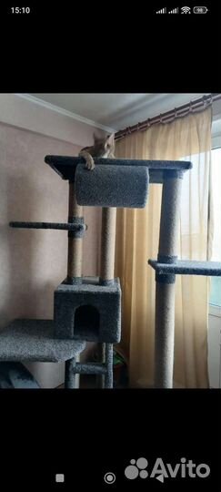 Когтеточка домик для кошки