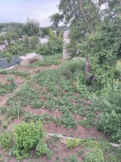 Участок 46 сот. (ИЖС)