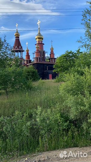 Конные прогулки по лесу