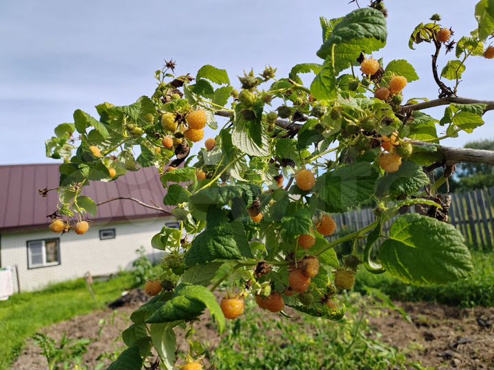 Дом 96,6 м² на участке 26 сот.