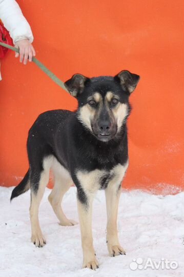 Малютка Рут не выживет зимой